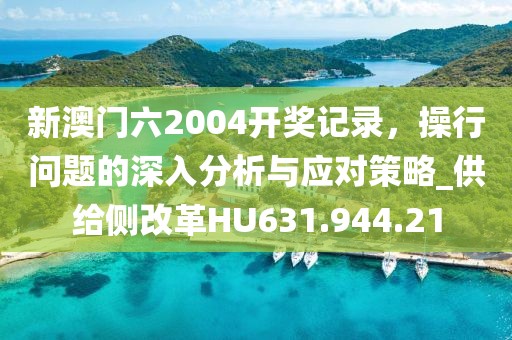 新澳門六2004開獎(jiǎng)記錄，操行問題的深入分析與應(yīng)對(duì)策略_供給側(cè)改革HU631.944.21