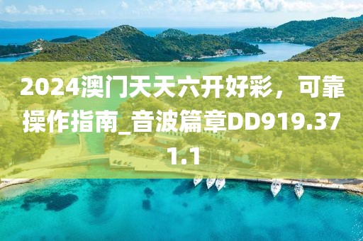 2024澳門天天六開好彩，可靠操作指南_音波篇章DD919.371.1