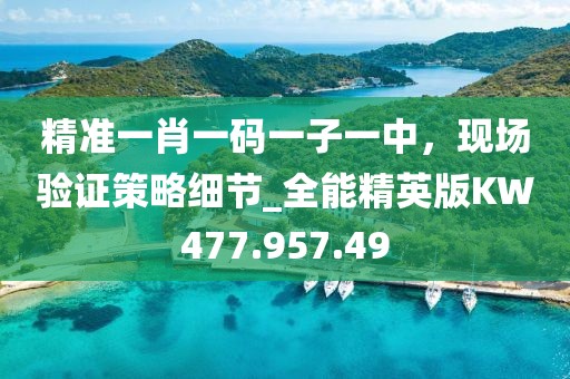 精準(zhǔn)一肖一碼一子一中，現(xiàn)場驗(yàn)證策略細(xì)節(jié)_全能精英版KW477.957.49