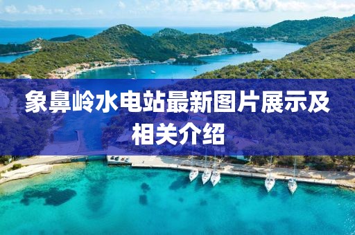 象鼻嶺水電站最新圖片展示及相關(guān)介紹