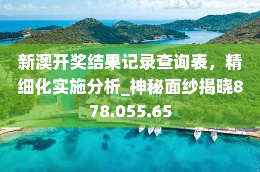 新澳開(kāi)獎(jiǎng)結(jié)果記錄查詢表，精細(xì)化實(shí)施分析_神秘面紗揭曉878.055.65