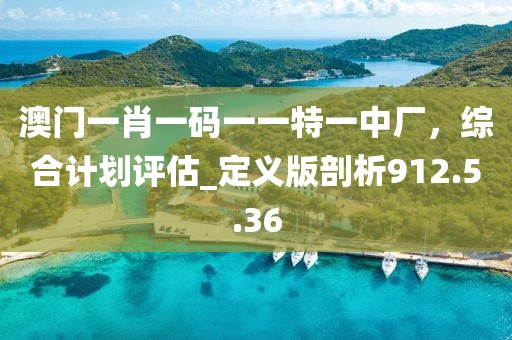 澳門一肖一碼一一特一中廠，綜合計(jì)劃評(píng)估_定義版剖析912.5.36