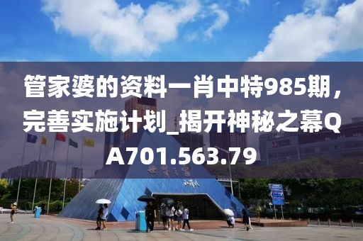 管家婆的資料一肖中特985期，完善實施計劃_揭開神秘之幕QA701.563.79