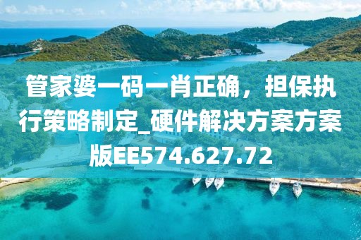 管家婆一碼一肖正確，擔保執(zhí)行策略制定_硬件解決方案方案版EE574.627.72