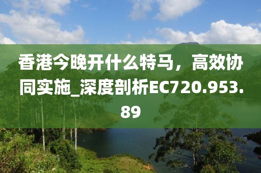 香港今晚開什么特馬，高效協(xié)同實施_深度剖析EC720.953.89