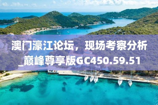 澳門濠江論壇，現(xiàn)場(chǎng)考察分析_巔峰尊享版GC450.59.51