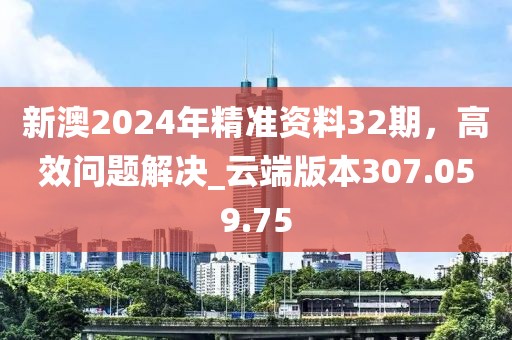 新澳2024年精準(zhǔn)資料32期，高效問題解決_云端版本307.059.75