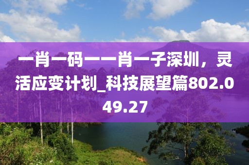 一肖一碼一一肖一子深圳，靈活應(yīng)變計劃_科技展望篇802.049.27