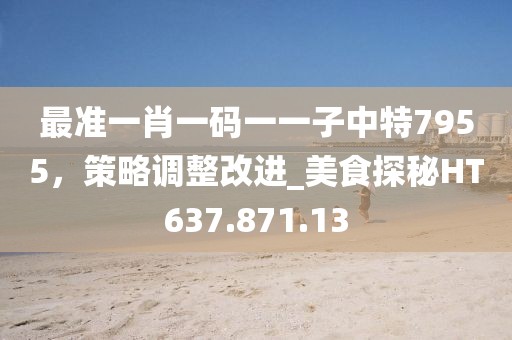最準(zhǔn)一肖一碼一一子中特7955，策略調(diào)整改進(jìn)_美食探秘HT637.871.13