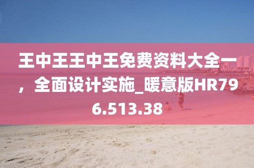 王中王王中王免費(fèi)資料大全一，全面設(shè)計(jì)實(shí)施_暖意版HR796.513.38