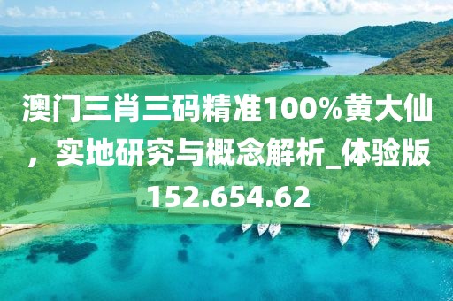 澳門三肖三碼精準(zhǔn)100%黃大仙，實(shí)地研究與概念解析_體驗(yàn)版152.654.62