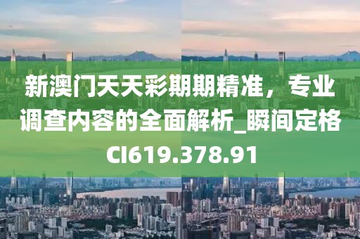 新澳門天天彩期期精準(zhǔn)，專業(yè)調(diào)查內(nèi)容的全面解析_瞬間定格CI619.378.91