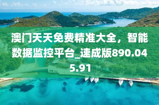 澳門天天免費精準大全，智能數(shù)據(jù)監(jiān)控平臺_速成版890.045.91
