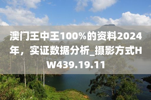 澳門王中王100%的資料2024年，實證數(shù)據(jù)分析_攝影方式HW439.19.11