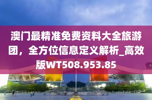 澳門最精準免費資料大全旅游團，全方位信息定義解析_高效版WT508.953.85
