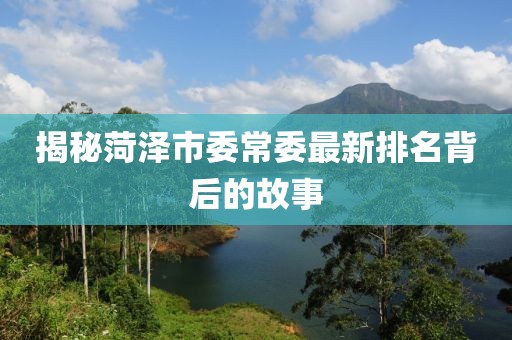 揭秘菏澤市委常委最新排名背后的故事