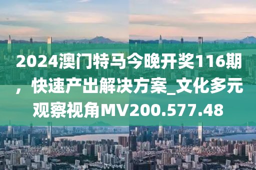 2024年11月 第48頁