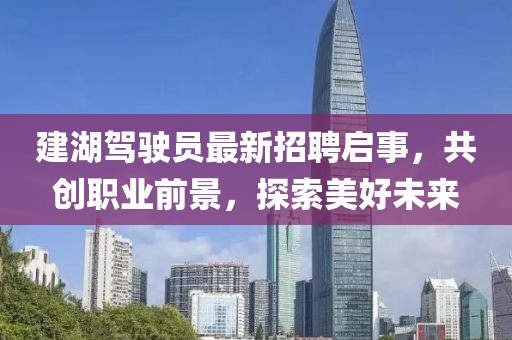 建湖駕駛員最新招聘啟事，共創(chuàng)職業(yè)前景，探索美好未來