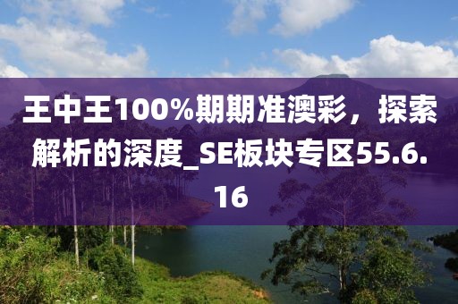 王中王100%期期準澳彩，探索解析的深度_SE板塊專區(qū)55.6.16