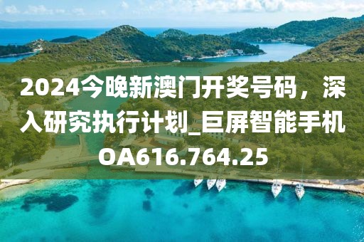 2024今晚新澳門開獎(jiǎng)號(hào)碼，深入研究執(zhí)行計(jì)劃_巨屏智能手機(jī)OA616.764.25