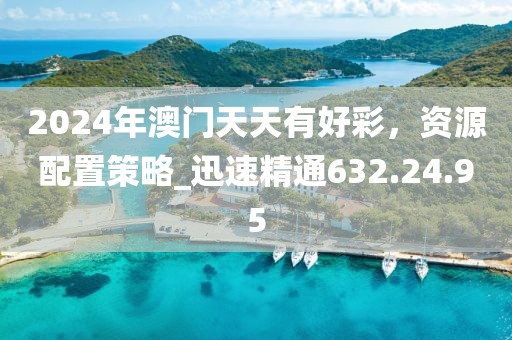 2024年澳門(mén)天天有好彩，資源配置策略_迅速精通632.24.95