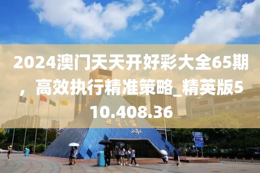 2024澳門天天開好彩大全65期，高效執(zhí)行精準(zhǔn)策略_精英版510.408.36