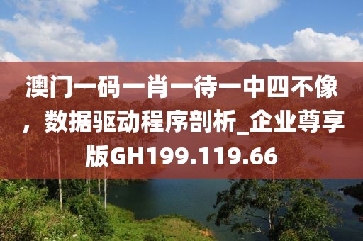 澳門一碼一肖一待一中四不像，數(shù)據(jù)驅(qū)動程序剖析_企業(yè)尊享版GH199.119.66