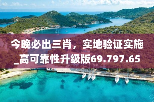 今晚必出三肖，實地驗證實施_高可靠性升級版69.797.65