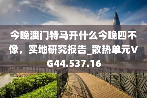 今晚澳門特馬開什么今晚四不像，實地研究報告_散熱單元VG44.537.16
