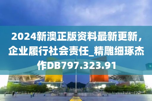 2024新澳正版資料最新更新，企業(yè)履行社會責任_精雕細琢杰作DB797.323.91
