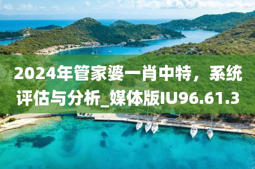 2024年管家婆一肖中特，系統(tǒng)評(píng)估與分析_媒體版IU96.61.3