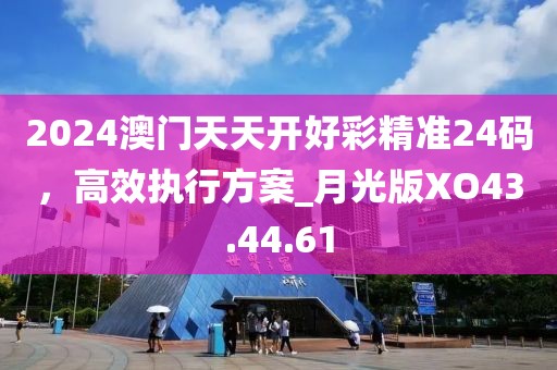 2024澳門天天開好彩精準24碼，高效執(zhí)行方案_月光版XO43.44.61