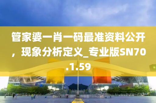 管家婆一肖一碼最準(zhǔn)資料公開，現(xiàn)象分析定義_專業(yè)版SN70.1.59