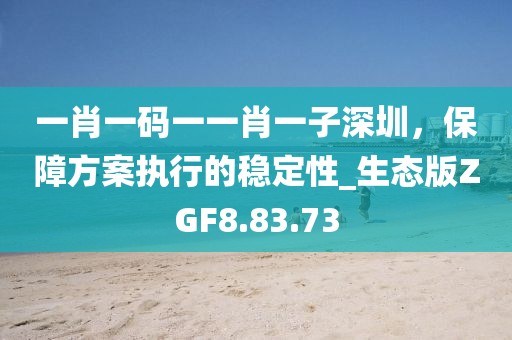 一肖一碼一一肖一子深圳，保障方案執(zhí)行的穩(wěn)定性_生態(tài)版ZGF8.83.73