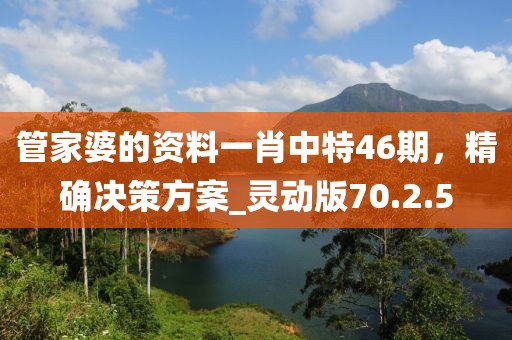 管家婆的資料一肖中特46期，精確決策方案_靈動(dòng)版70.2.5