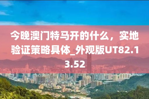 今晚澳門(mén)特馬開(kāi)的什么，實(shí)地驗(yàn)證策略具體_外觀版UT82.13.52