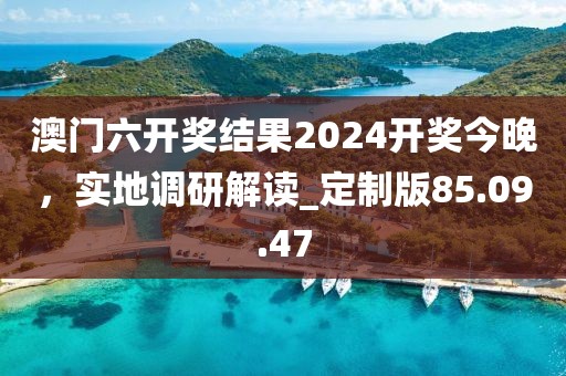 澳門(mén)六開(kāi)獎(jiǎng)結(jié)果2024開(kāi)獎(jiǎng)今晚，實(shí)地調(diào)研解讀_定制版85.09.47