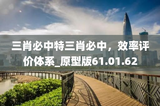三肖必中特三肖必中，效率評(píng)價(jià)體系_原型版61.01.62