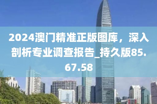 2024澳門精準(zhǔn)正版圖庫，深入剖析專業(yè)調(diào)查報告_持久版85.67.58