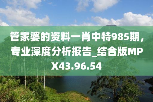 管家婆的資料一肖中特985期，專業(yè)深度分析報(bào)告_結(jié)合版MPX43.96.54