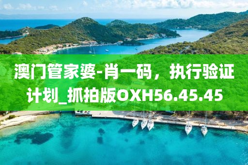 澳門管家婆-肖一碼，執(zhí)行驗證計劃_抓拍版OXH56.45.45