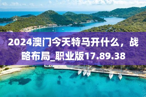 2024澳門今天特馬開什么，戰(zhàn)略布局_職業(yè)版17.89.38