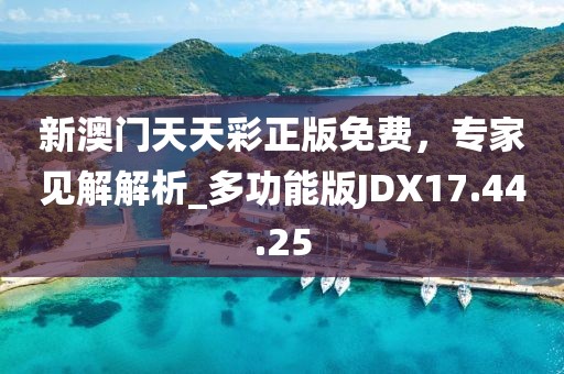 新澳門天天彩正版免費，專家見解解析_多功能版JDX17.44.25
