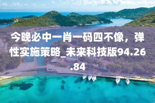 今晚必中一肖一碼四不像，彈性實(shí)施策略_未來科技版94.26.84