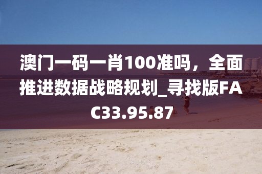 澳門一碼一肖100準嗎，全面推進數據戰(zhàn)略規(guī)劃_尋找版FAC33.95.87