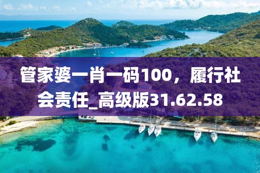 管家婆一肖一碼100，履行社會(huì)責(zé)任_高級(jí)版31.62.58