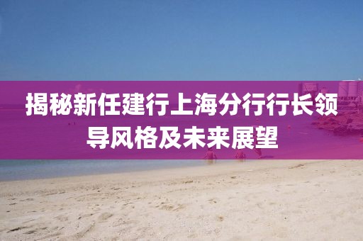 揭秘新任建行上海分行行長領導風格及未來展望