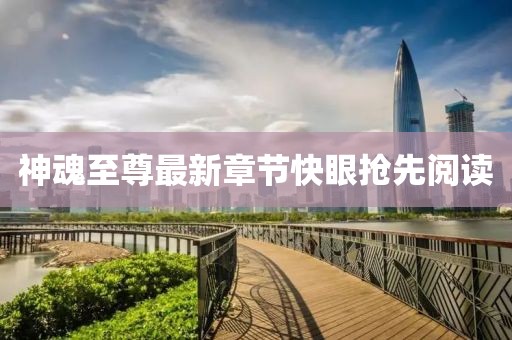 神魂至尊最新章節(jié)快眼搶先閱讀