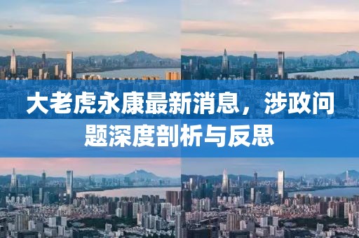 大老虎永康最新消息，涉政問題深度剖析與反思