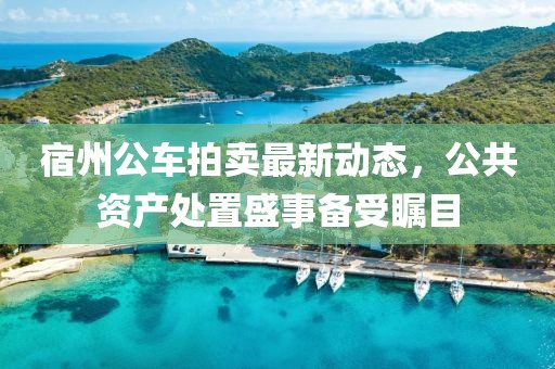 宿州公車拍賣最新動態(tài)，公共資產(chǎn)處置盛事備受矚目